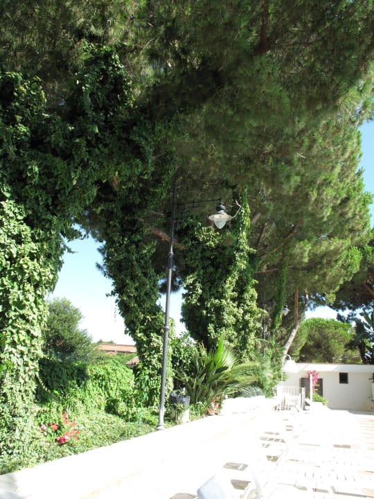 Poolanlage Hotel Cerere