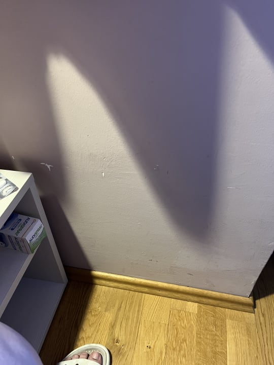 Zimmer JUFA Hotel Königswinter