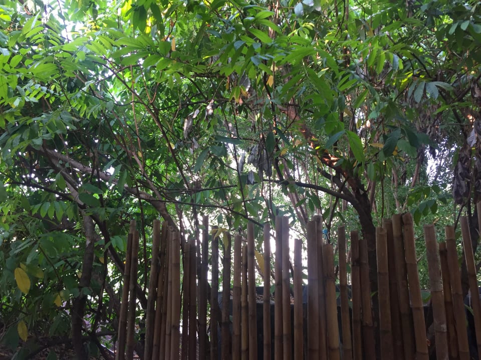 Aussicht vom Zimmer Thai House Beach Resort