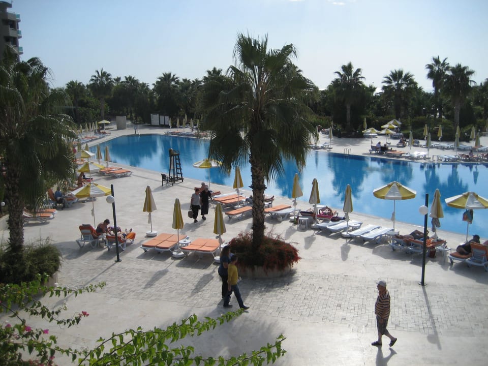 Pool bei schönem Wetter VONRESORT Golden Coast