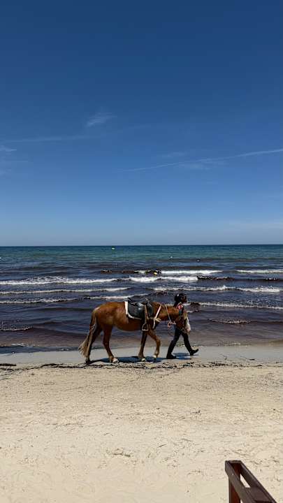 Strand Iberostar Selection Kuriat Palace