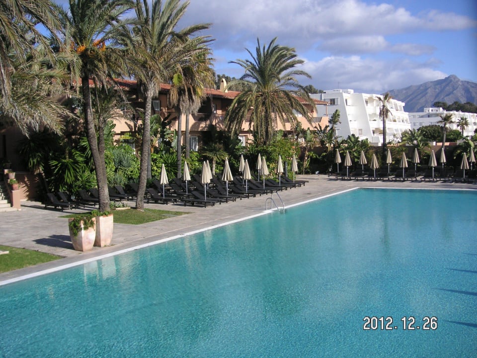 Zum Sonnenliegen... einmalig Hotel Guadalmina, managed by Barceló