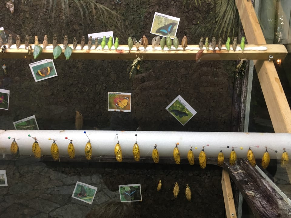 Sonstiges Center Parcs De Kempervennen