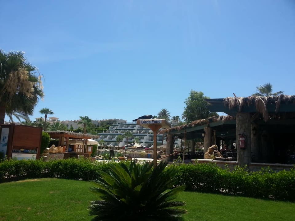 Zieleń Safir Sharm Waterfalls Resort