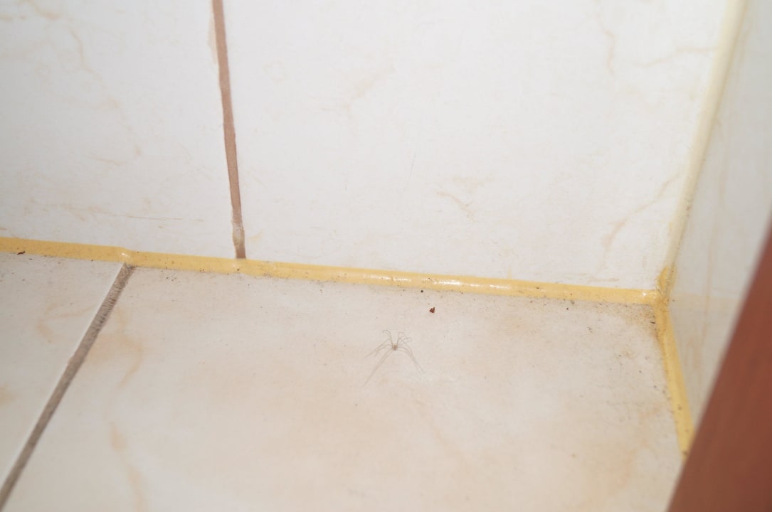 Łazienka podobno była posprzątana,tylko kiedy? Gästehaus Emilia