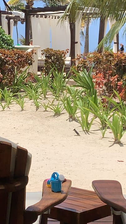 Zimmer Akumal Bay Beach & Wellness Resort