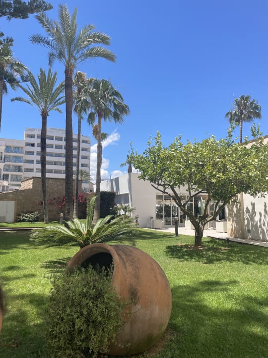 Gartenanlage CM Playa del Moro