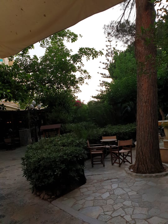 Gartenanlage Apollonia Beach Resort & Spa