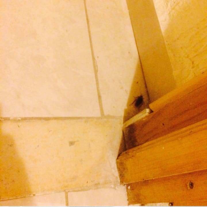 Zimmer Mahdia Beach & Aquapark