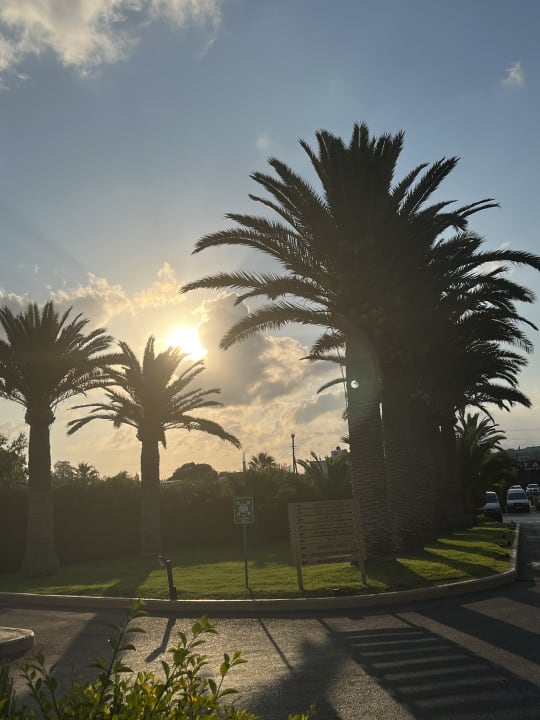 Gartenanlage Anissa Beach & Village