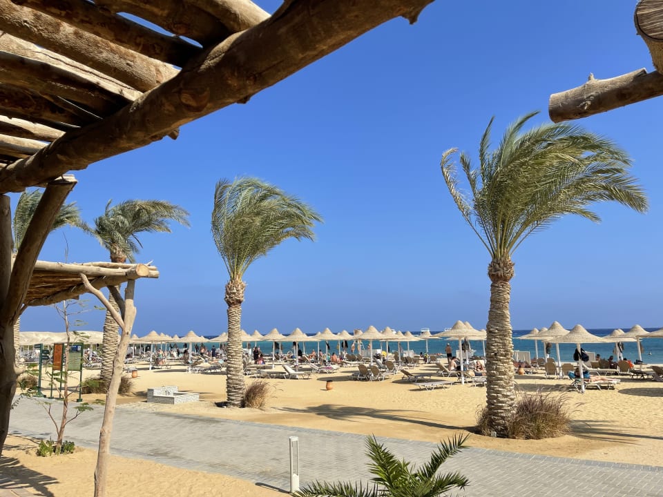 "Liegen am Strand im Novem..." Iberotel Costa Mares (Marsa Alam) • HolidayCheck (Marsa Alam/El