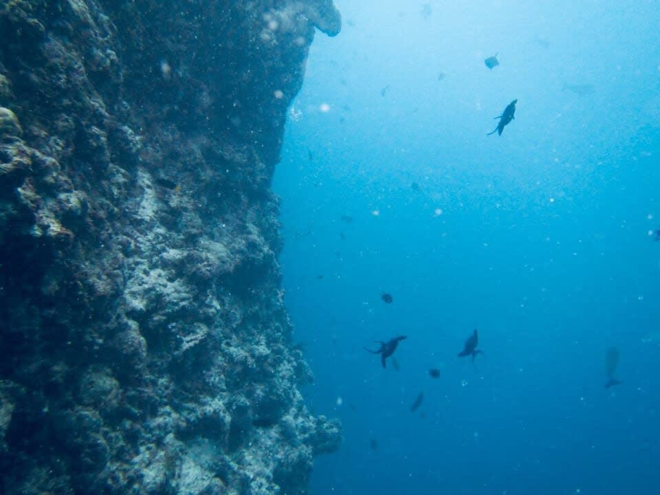 Zimmer Adaaran Select Hudhuran Fushi - Premium All Inclusive