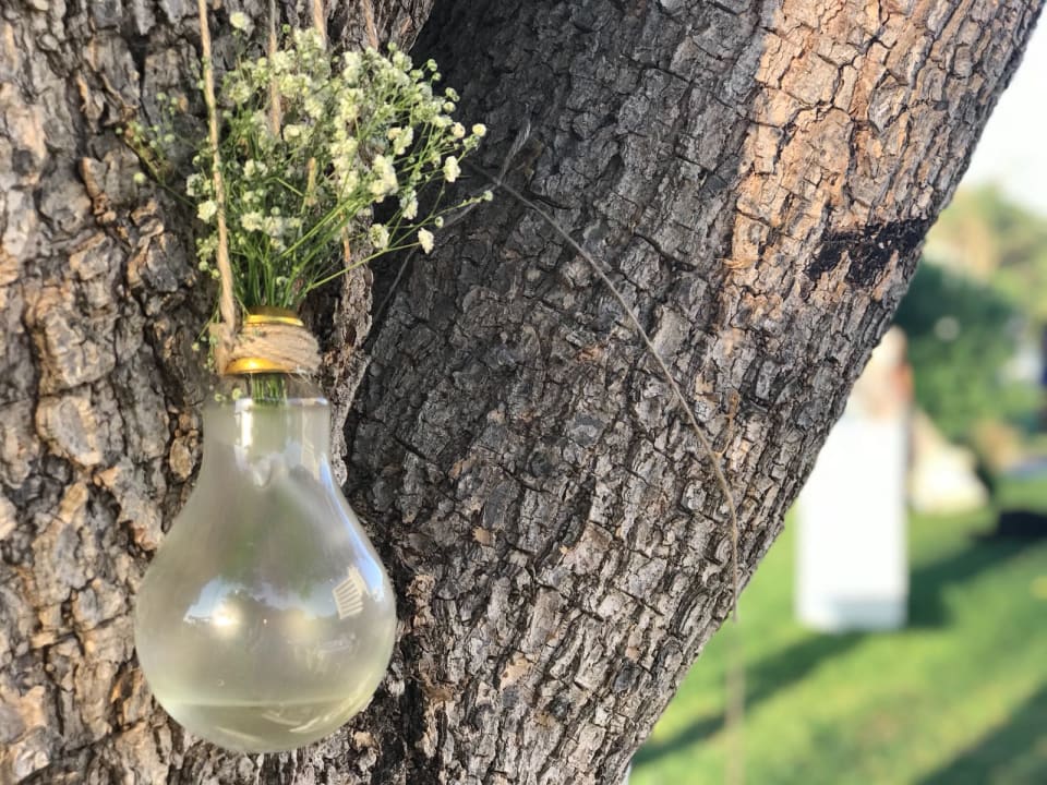 Sonstiges Salamis Bay Conti Resort Hotel & Casino