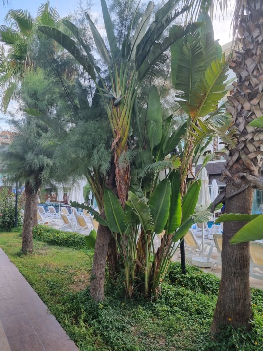 Gartenanlage Sunis Evren Beach Resort Hotel & Spa