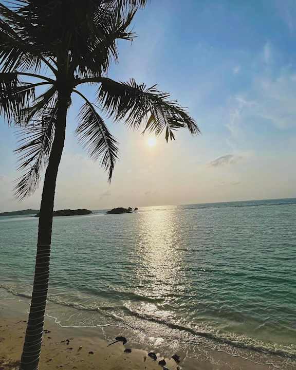 Ausblick Dara Samui Beach Resort