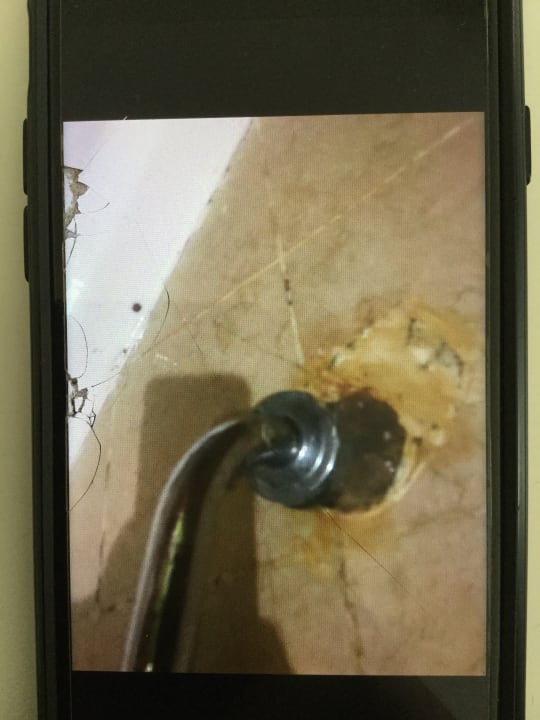 Zimmer Ghazala Gardens