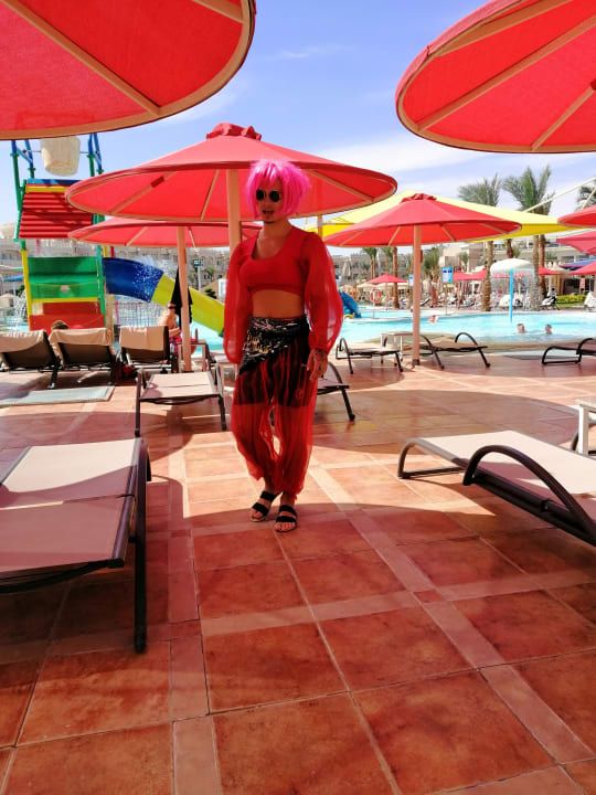 Pool Pickalbatros Palace Resort