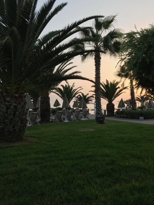 Gartenanlage Hotel Riu Palace Tenerife