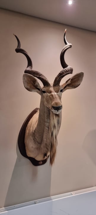 Zimmer Hotel Aubrecht Country Spa Resort