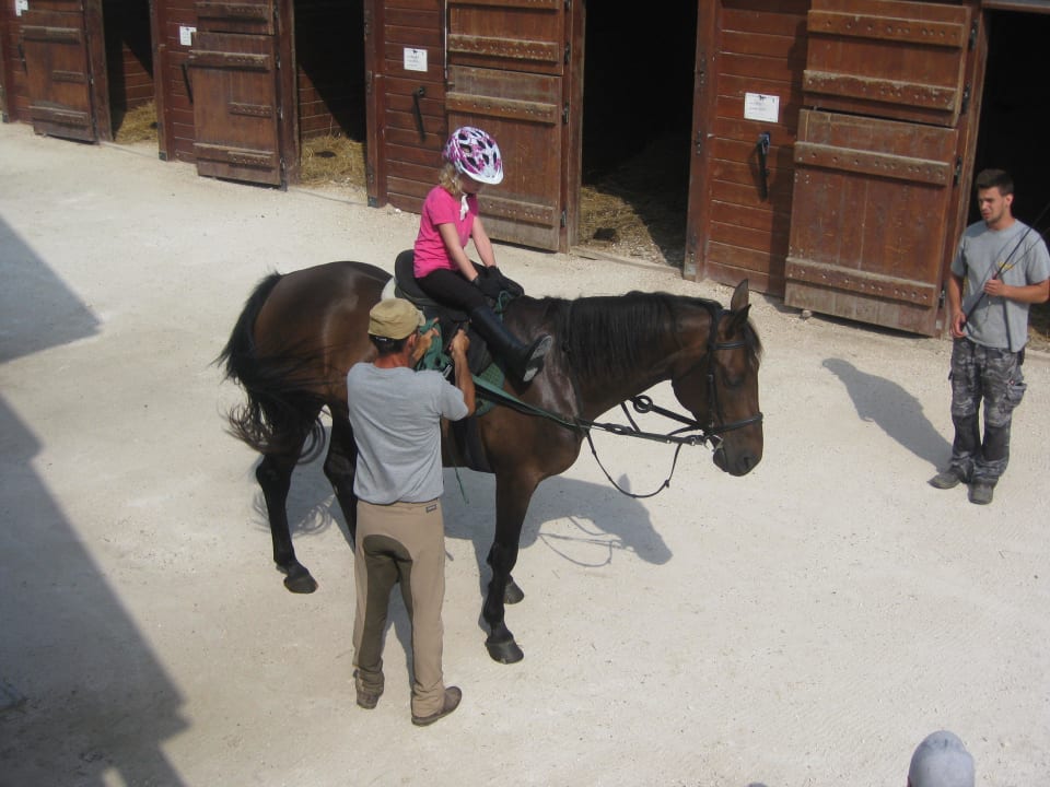 Auf dem Weg zum Longenplatz Matild Country Hotel