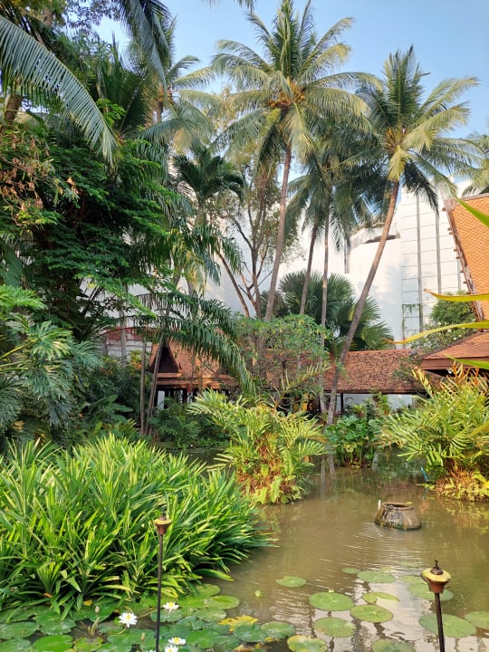 Gartenanlage Avani Pattaya Resort