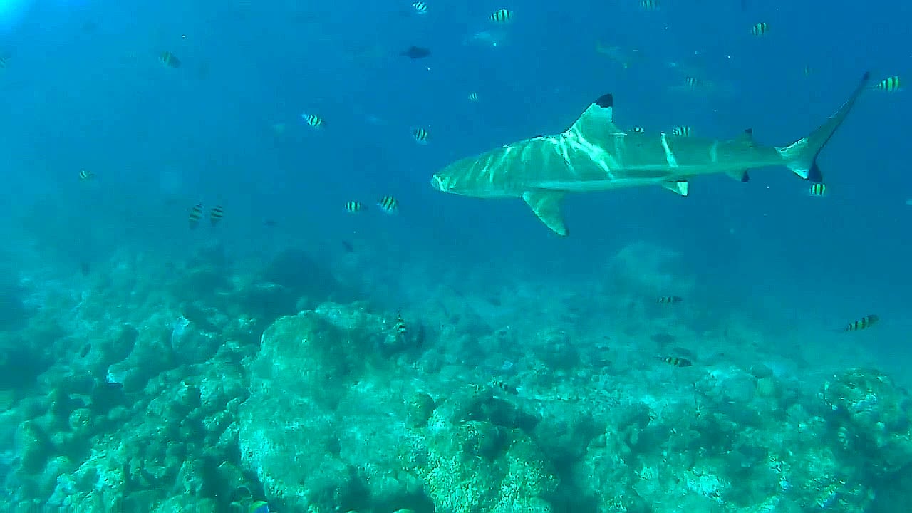 Sport & Freizeit Adaaran Select Hudhuran Fushi - Premium All Inclusive