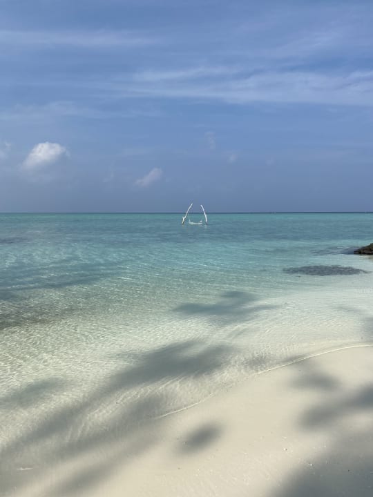 Strand Summer Island Maldives