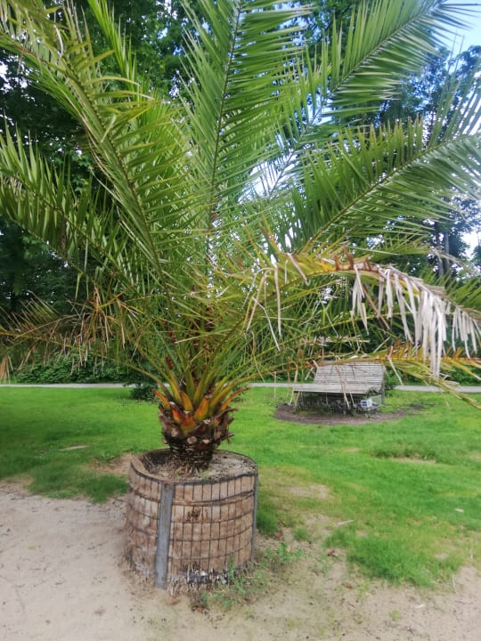 Gartenanlage Hotel Sonnengarten