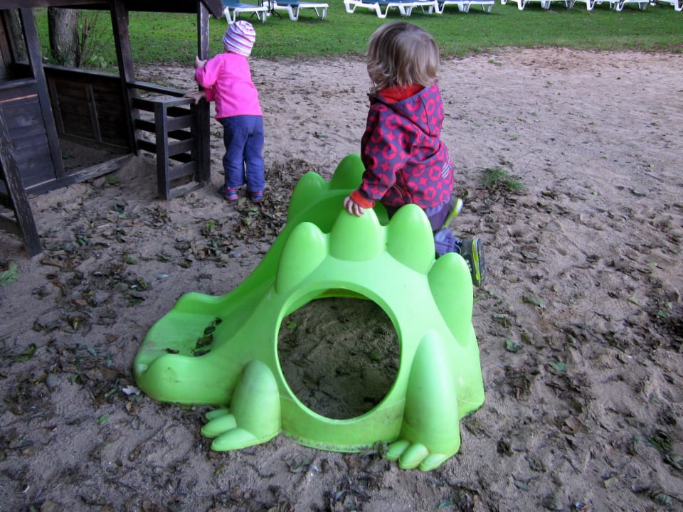 Spielplatz am See Familotel Borchard's Rookhus am See