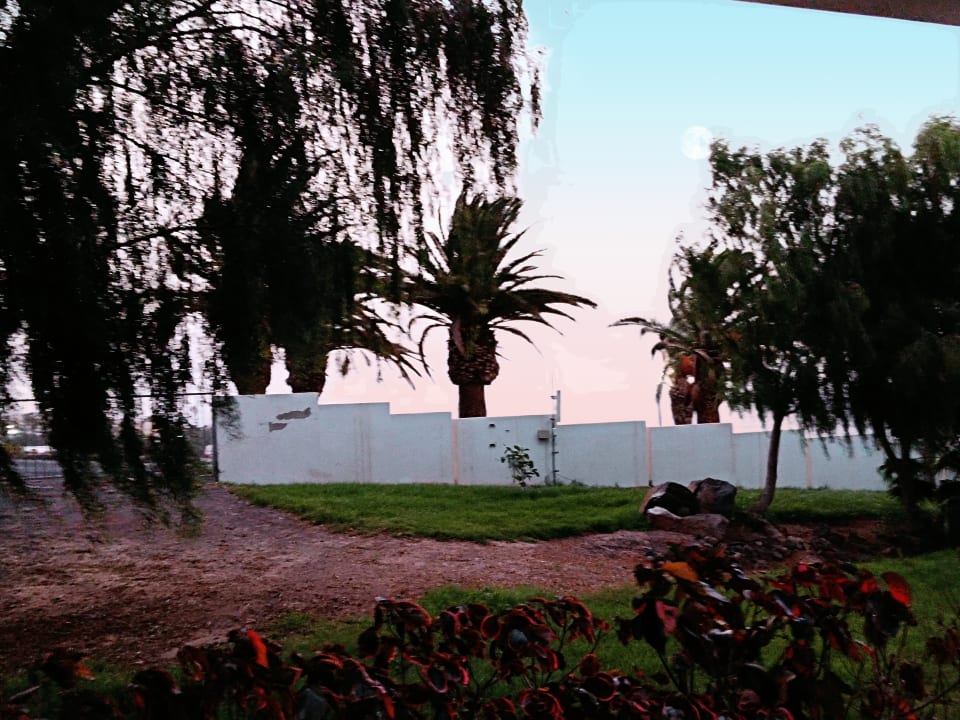 Ausblick allsun App.-Hotel Esquinzo Beach