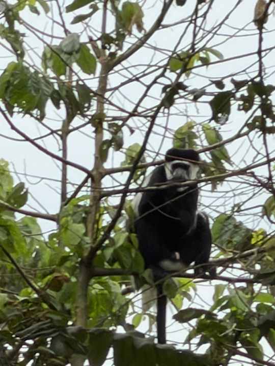 Gartenanlage Kluges Gästefarm