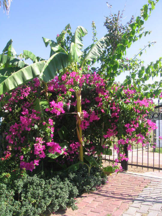 Wunderschön angelegte Gartenanlage Belek Beach Resort Hotel