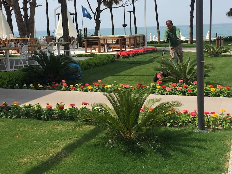 Gastro Acanthus Cennet Barut Collection