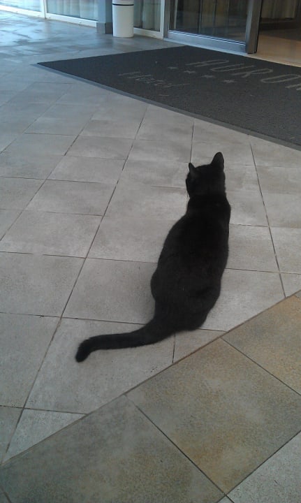 Hotel Aurora Hotel Aurora