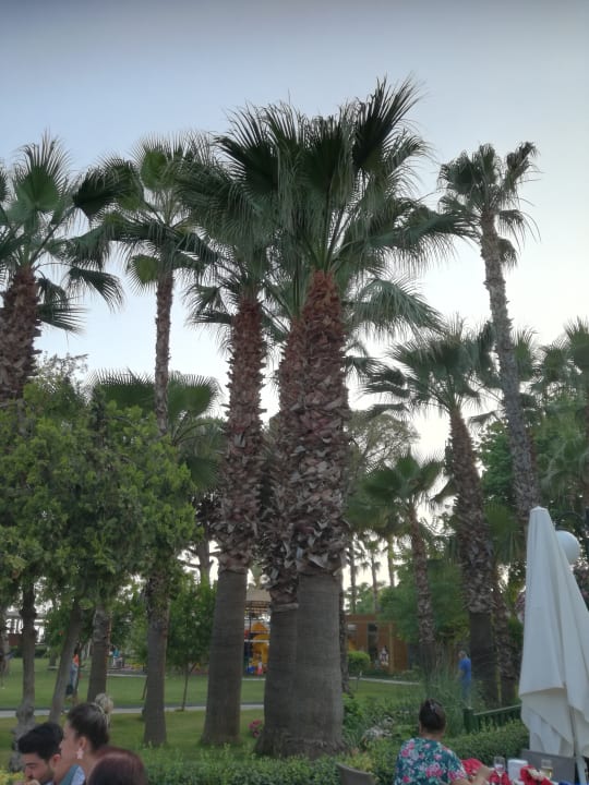 Gartenanlage Labranda Alantur Resort