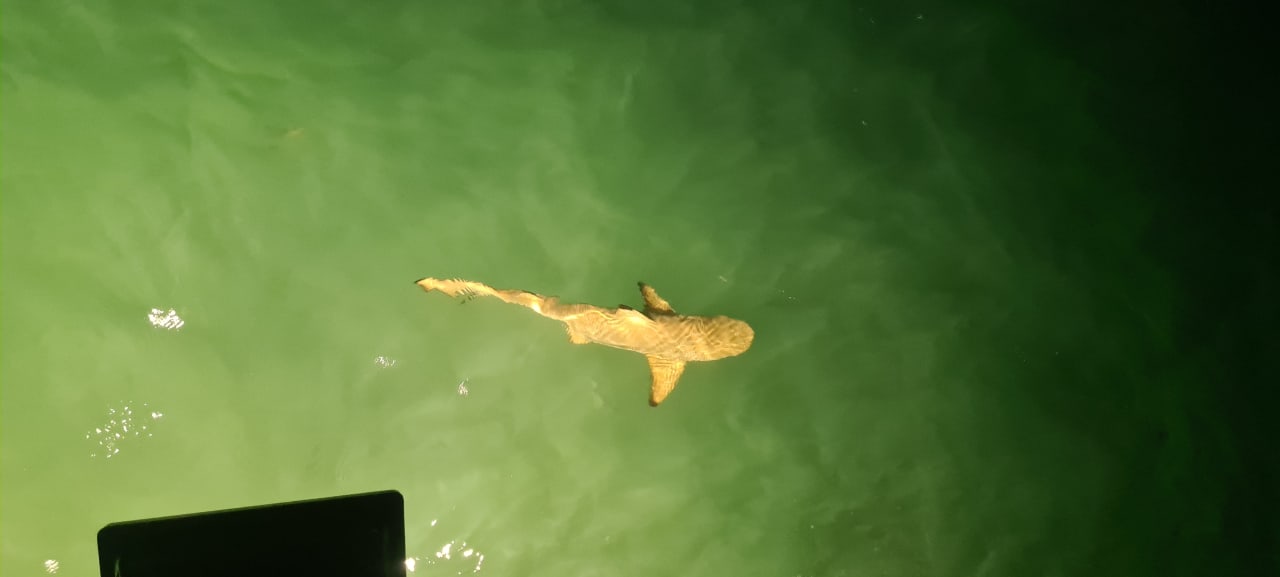 Sonstiges Adaaran Select Hudhuran Fushi - Premium All Inclusive