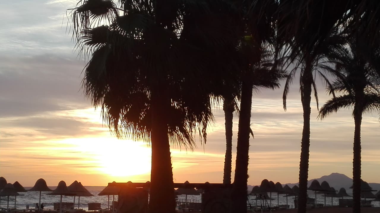 Zimmer Parrotel Beach Resort