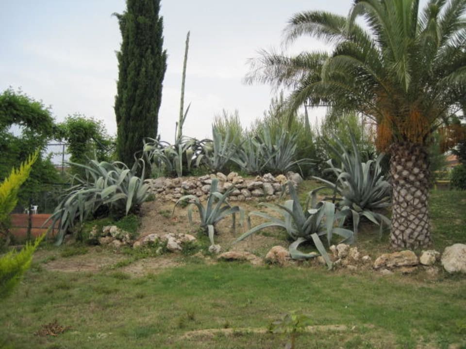 Weg zum Strand Club Grand Aqua