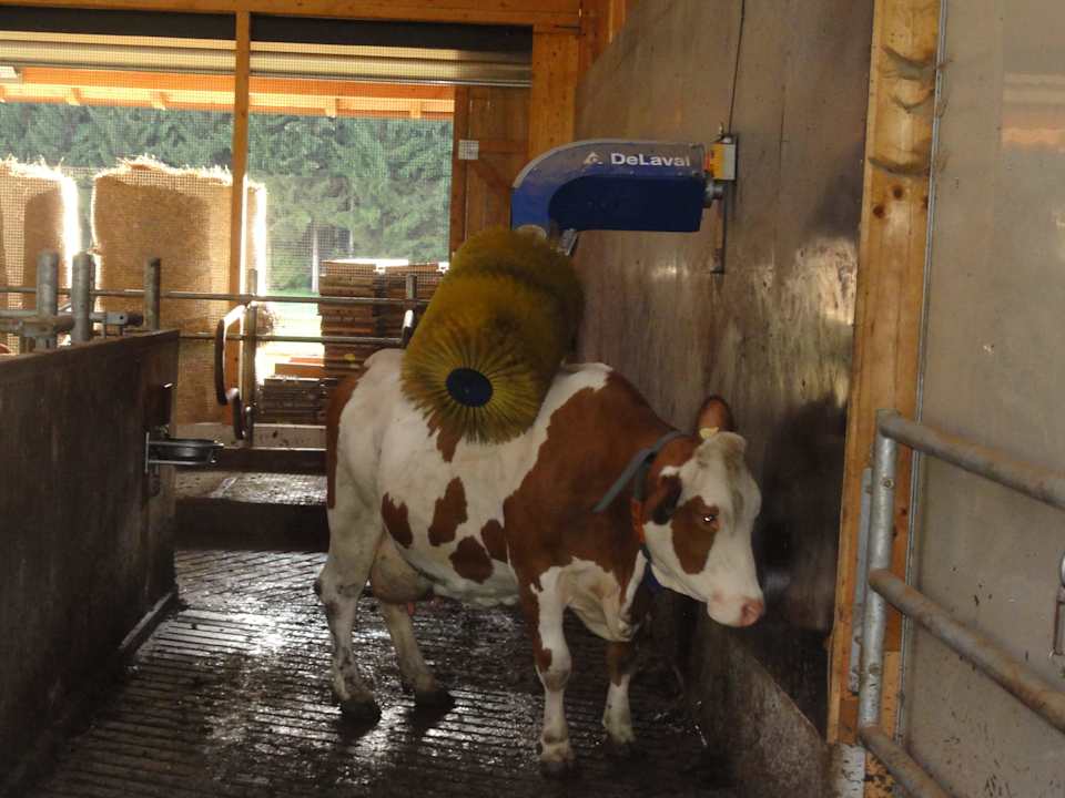 Die Waschanlage der Kühe Ferienwohnungen Riepertinger Langhof