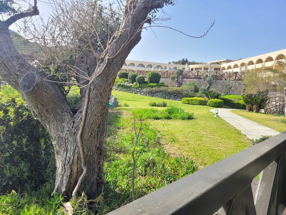 Gartenanlage Hotel Kalithea Horizon Royal