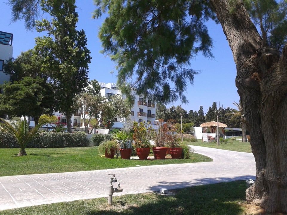 Ogród TUI BLUE Oceanis Beach and Spa Resort