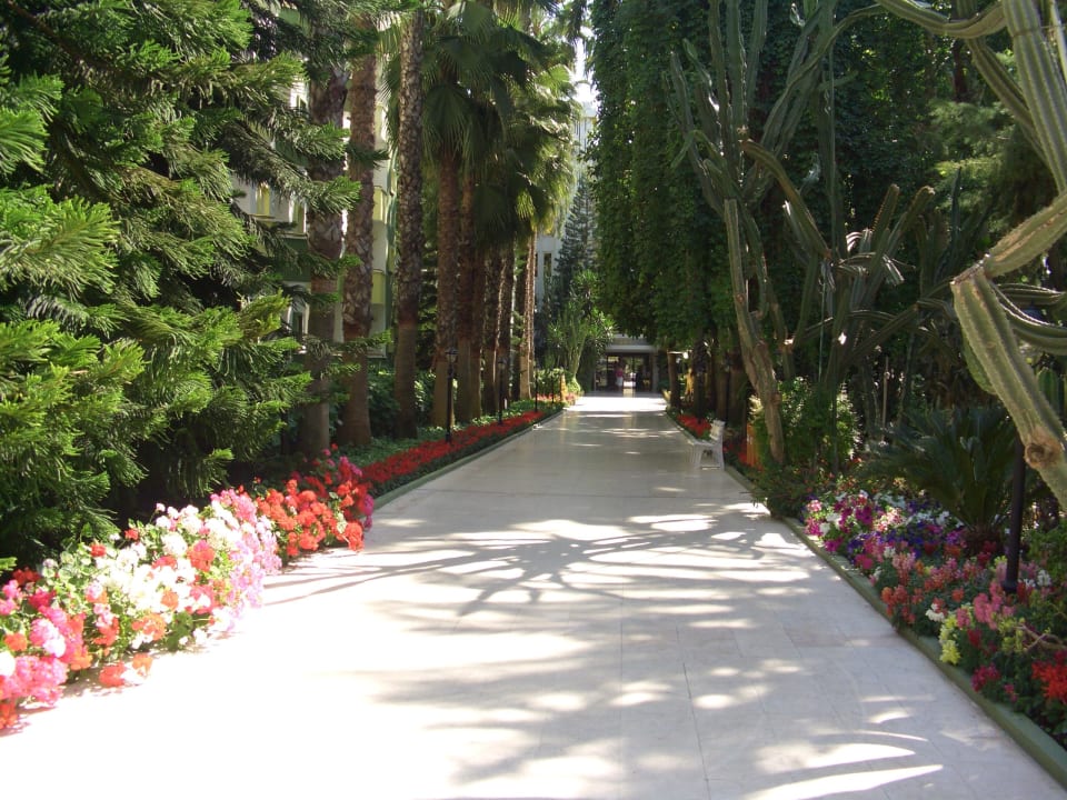 Eingang an die Hotelanlage  Botanik Hotel & Resort