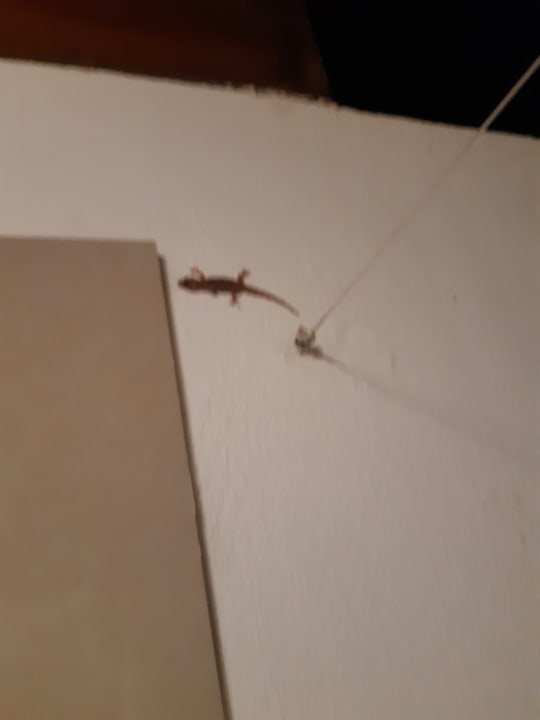 Zimmer NH Collection Maldives Reethi Resort