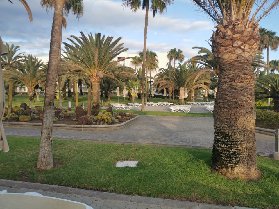 Gartenanlage Hotel Riu Gran Canaria