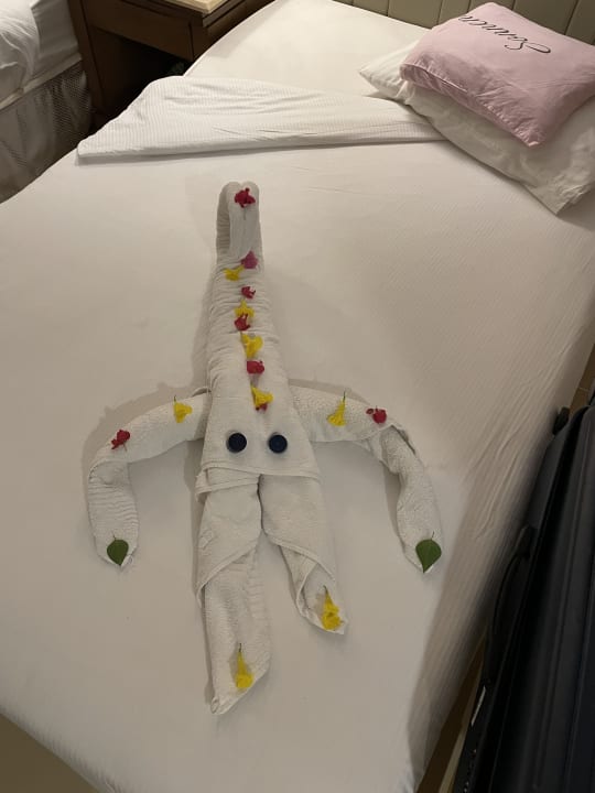 Gastro Serenity Alpha Beach