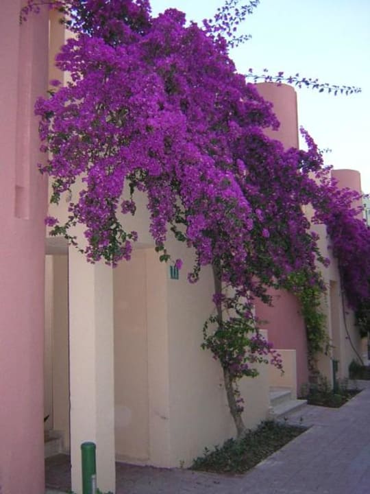 Anlage4 VONRESORT Golden Beach