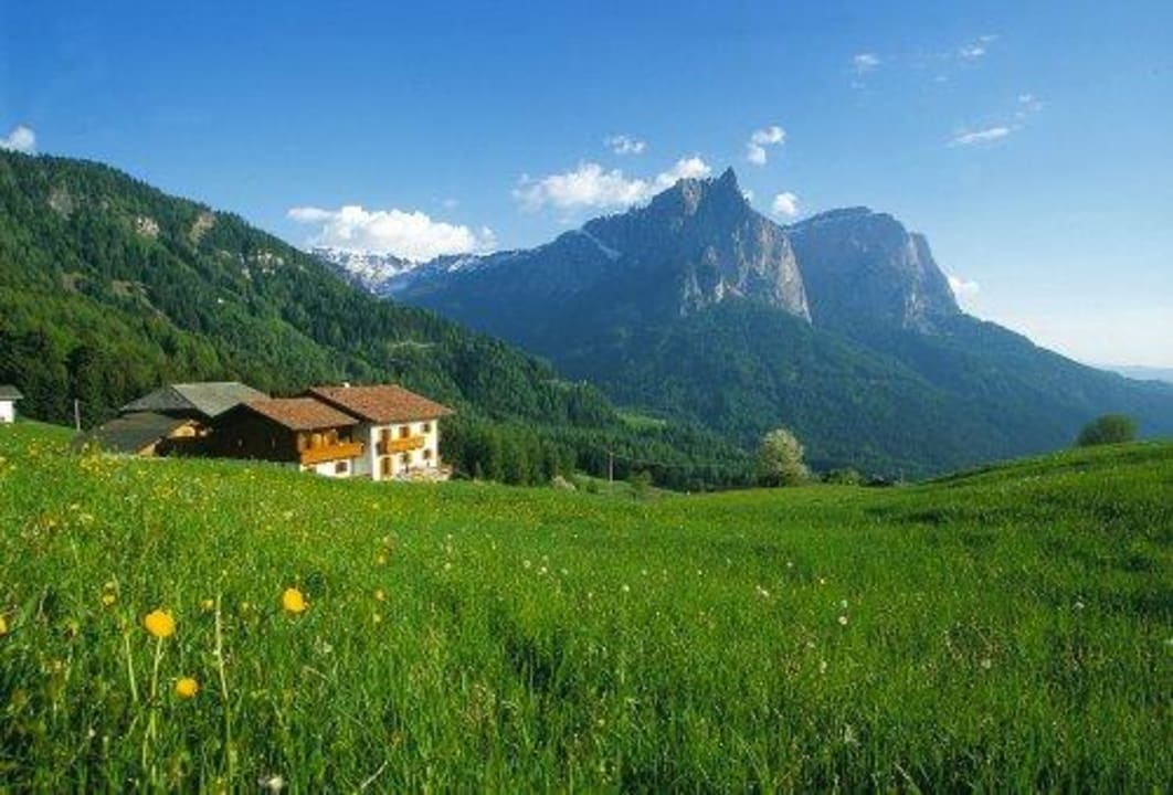 Panoramablick Schlern Pliegerhof