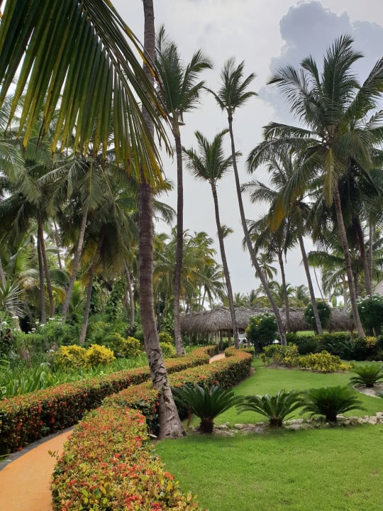 Gartenanlage TRS Turquesa Hotel - Adults only