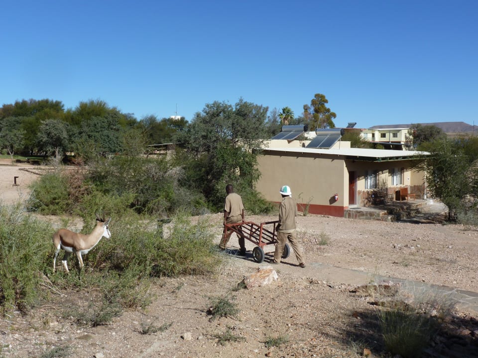 Gartenanlage Hammerstein Lodge & Camp