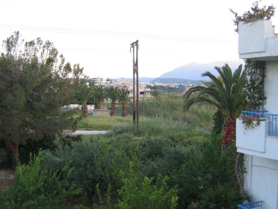 Ausblick Hotel Gorgona